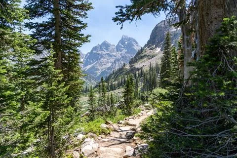 View of the Teton Mountain Range as seen from the Lake Solitude Trail in Gr.. Stock Photos