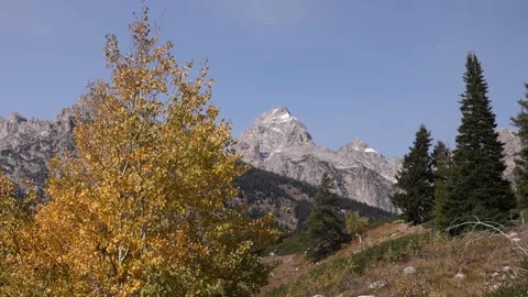 View Of Teton Mountains With Autumn Color In Foreground Stock-Footage 145824853