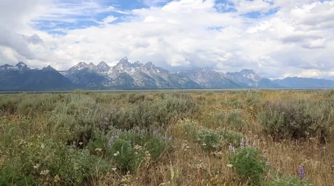 View of the Tetons in Summer Stock Footage 40544228