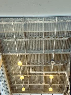 View of a textured ceiling with lights in a modern building during daytime Stock Photos