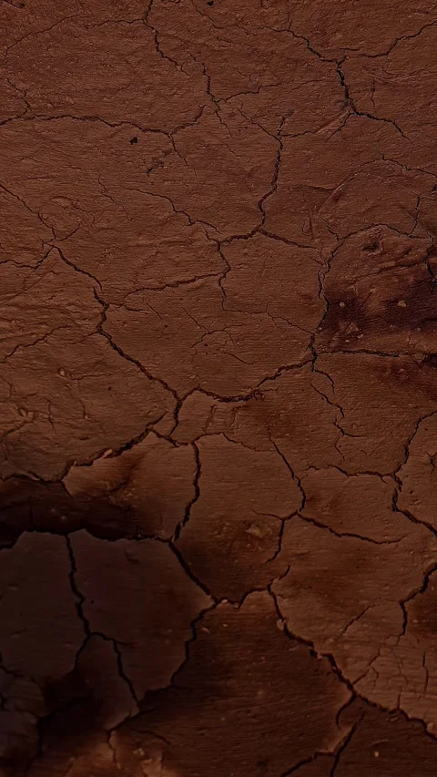 View of textured reddish-brown soil in Latvia. Stock Footage 339951929