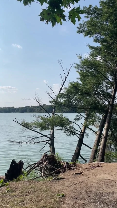 View of Thames River in Woodstock Vídeo Stock 326161019