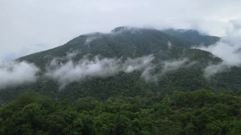 View of thick white sea of mist covering lush green mountains for travel Video stock 308230134