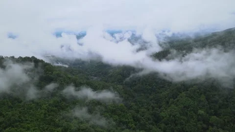 View of thick white sea of mist covering lush green mountains for travel Stock Footage 308230617