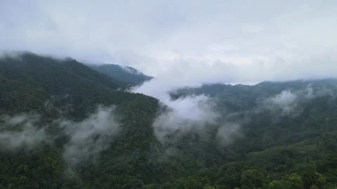 View of thick white sea of mist covering lush green mountains for travel Stock Footage 308230620