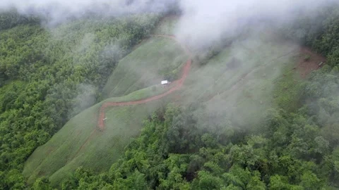 View of thick white sea of mist covering lush green mountains for travel Stock Footage 308230690