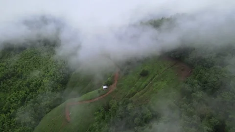 View of thick white sea of mist covering lush green mountains for travel Stock Footage 308230700