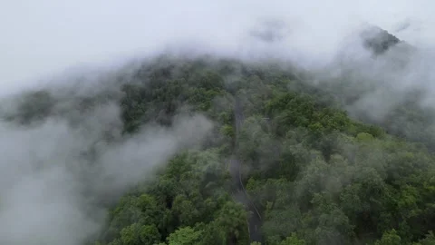 View of thick white sea of mist covering lush green mountains for travel Stock Footage 308230701
