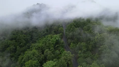 View of thick white sea of mist covering lush green mountains for travel Stock Footage 308230702