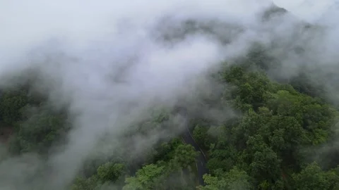 View of thick white sea of mist covering lush green mountains for travel Stock Footage 308230703