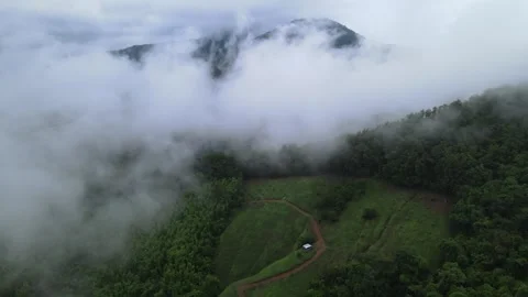 View of thick white sea of mist covering lush green mountains Video stock 308230726