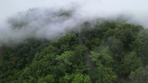 View of thick white sea of mist covering lush green mountains for travel Stock Footage 308230727