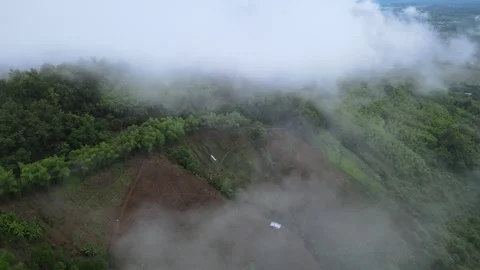View of thick white sea of mist covering lush green mountains for travel Stock Footage 308230728