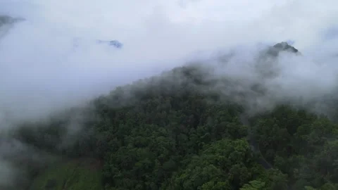 View of thick white sea of mist covering lush green mountains for travel Stock Footage 308230729