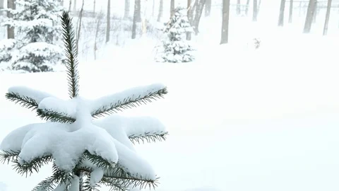 The view though frosty window during a cold winter day in Bemidji, Minnesota. Stock Footage 102004991