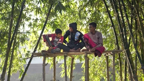 View of three boys sitting in a bamboo grove, Bangladesh. Stock Footage 335600042