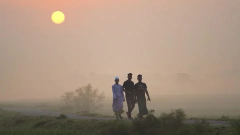 View of three men walking on a misty road at sunrise, Bangladesh. Vídeos de archivo 335594079