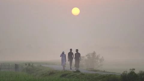 View of three men walking on a rural road at sunrise, Bangladesh. Vídeos de archivo 335595943