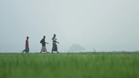 View of three men walking through a misty field in Bogura, Bangladesh. Stock Footage 334960204