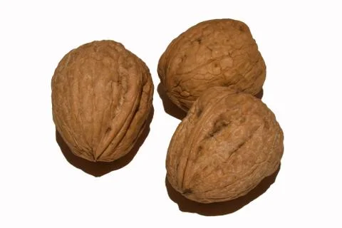 View of three walnuts on white background  스톡 사진