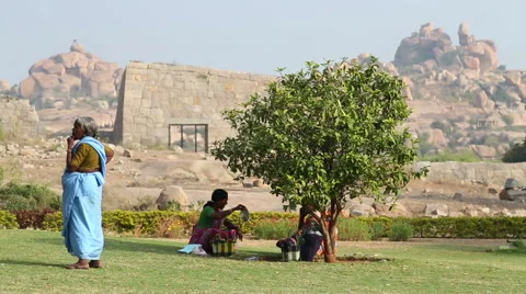 View of three women on the grass, two sitting under the tree, third standing. Video stock 49927156