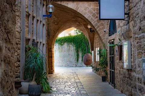 View through an arch of a soaring orange tree. Stock Photos