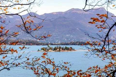View through the autumn branches of trees on little Rabbit Island Stock Photos