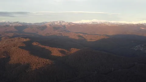 View through the autumn forest to the snow-capped mountains Stock Footage 247088323