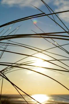 View through beach grass on a dune to the sea Foto stock