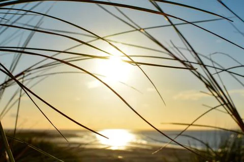 View through beach grass to the sea at sunset Stock Photos