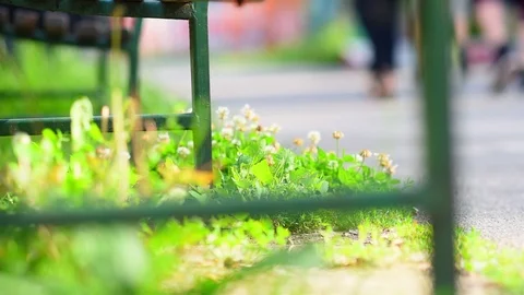 View through a bench, people walking outside in the park (with slider) Stock Footage 109651660