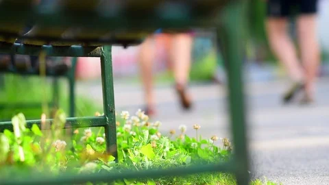 View through a bench, people walking and going on bike in the park (with slider) Stock Footage 109652806