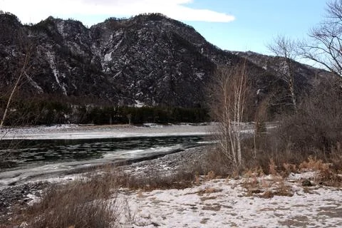 View through the birch trees from the high bank of the frozen river flowing.. Stock Photos