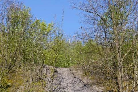View through the birch trees to the top of the stockpilel with the  tetrahedron Foto stock