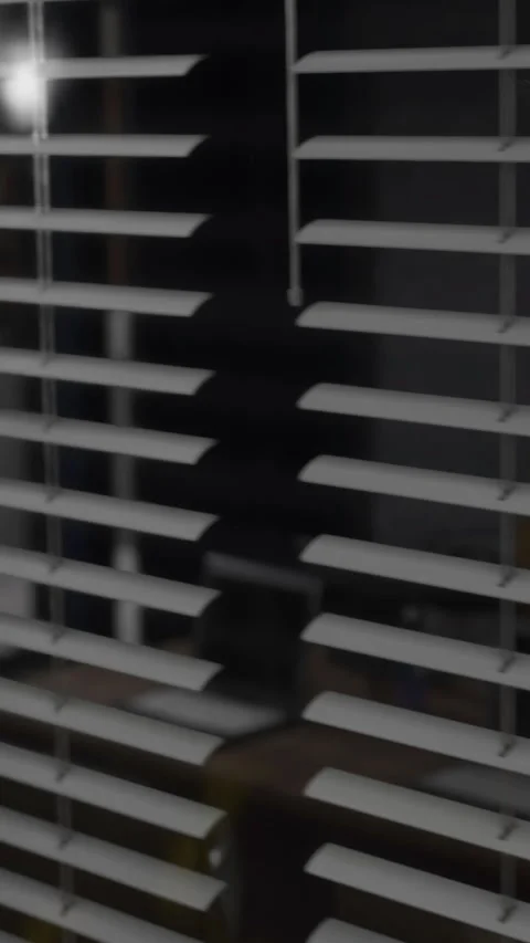 View through blinds showing a room with furniture and low light at night Stock Footage 336025446