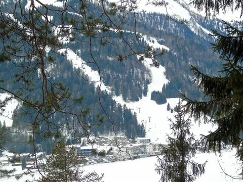 View through the branches of the forest trees on the buildings of the winter Stock Photos