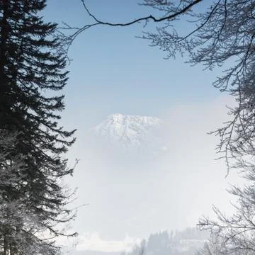 View through branches to a mountain peak hiding behind fog. Stock Photos
