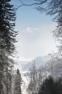 View through branches to a mountain peak hiding behind fog. Stock Photos