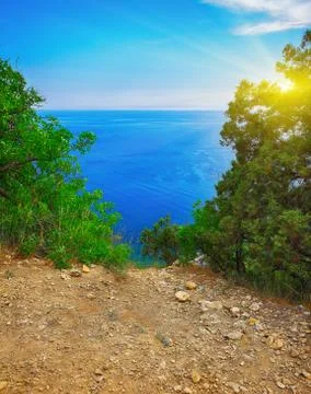View through branches on the sea Stock Photos