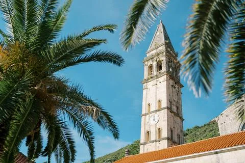 View through the branches of a tree to the bell tower of the Church of St Stockfoto's
