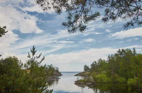 View through the branches of trees. blue sky with clouds above the water. nor Stock Photos