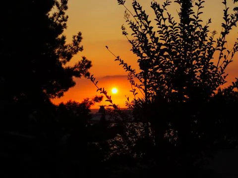 View through the branches of trees at the sun setting over the sea with a ship Fotos Stock