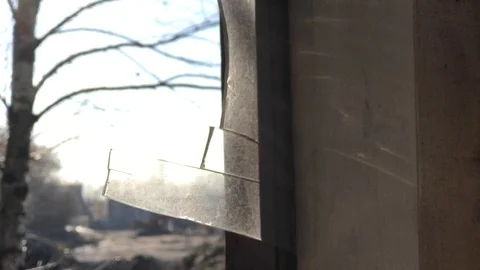 View through a broken window on a trees. Vídeo Stock 98195177