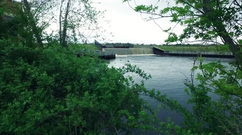 View through the Brush with a Dam and Lake in the Background Stock Footage 62926473