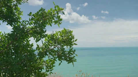 View through the bushes to the azure sea and blue sky with clouds Видео 208871153