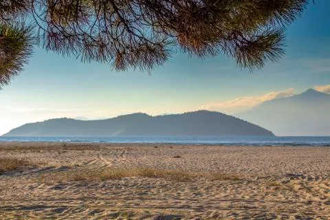 View through cedar branches to the beautiful beach. Stock Photos