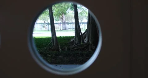 View through a circular opening in a door to a green park area with trees Stock Footage 281706045
