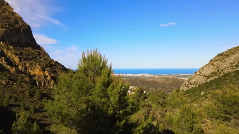 View through the crown of a tree to the mountain slopes and the sea coast Stock Footage 241516720
