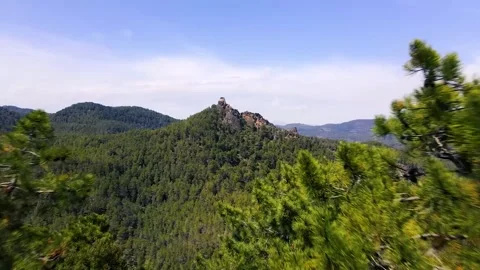View through the crown of trees to the mountain with old fortress Stock Footage 241245589