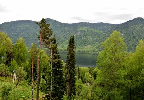 View through the crowns of trees to a beautiful lake at the foot of mountain Stock Photos